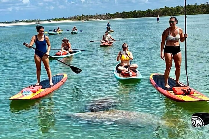 Daytona Beach Dolphin & Manatee Tour – Paddleboard or Kayak - Photo 1 of 20